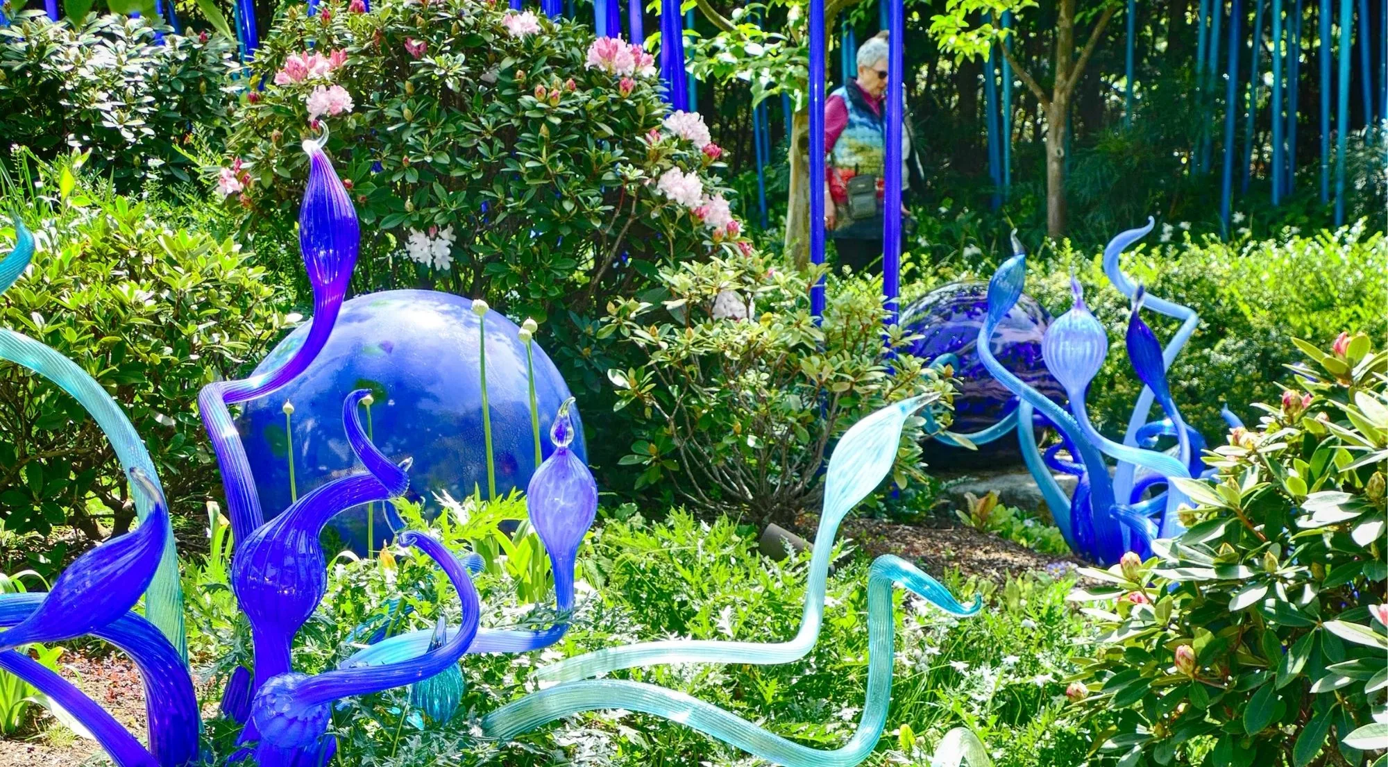 Cobalt and turquoise glass forms and a blue sphere among rhododendrons in the Garden