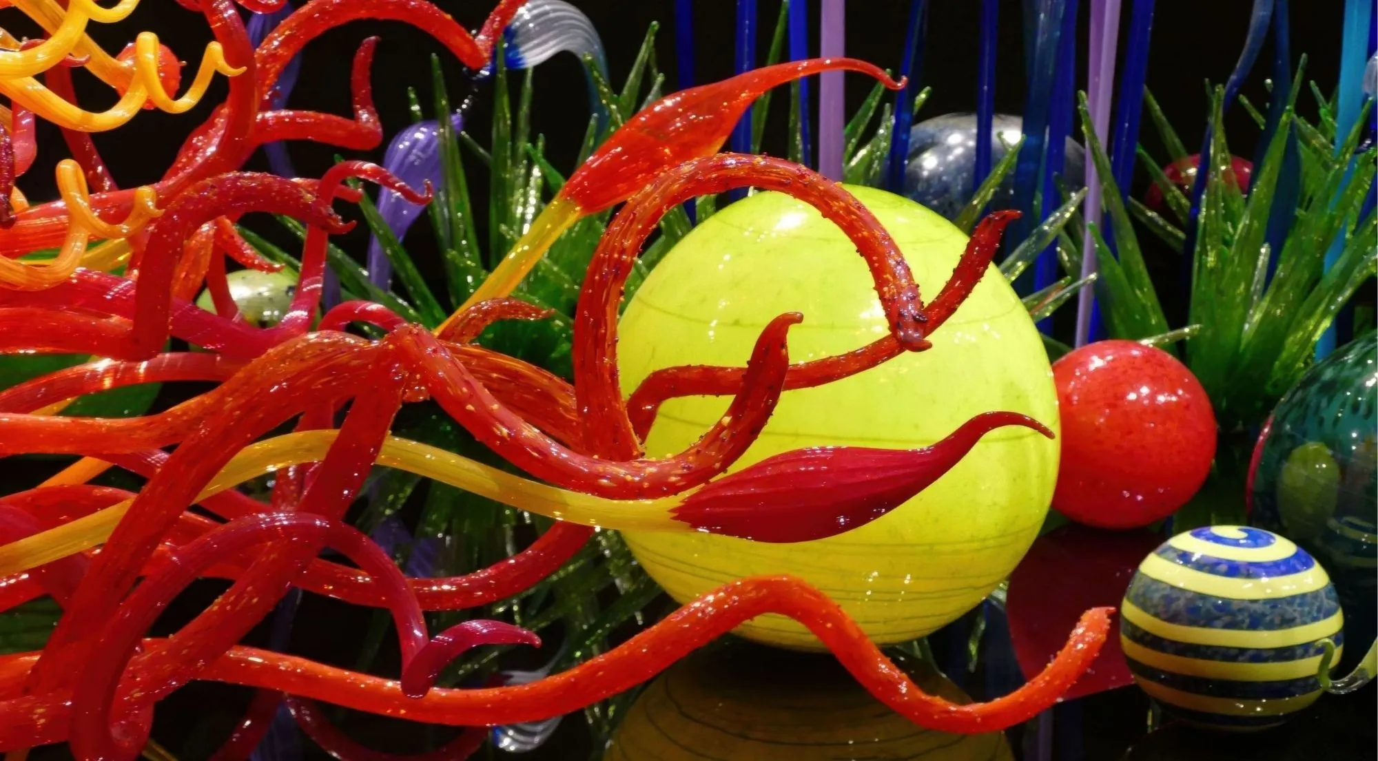 Scarlet tendrils curling around a chartreuse glass sphere in the Mille Fiori installation