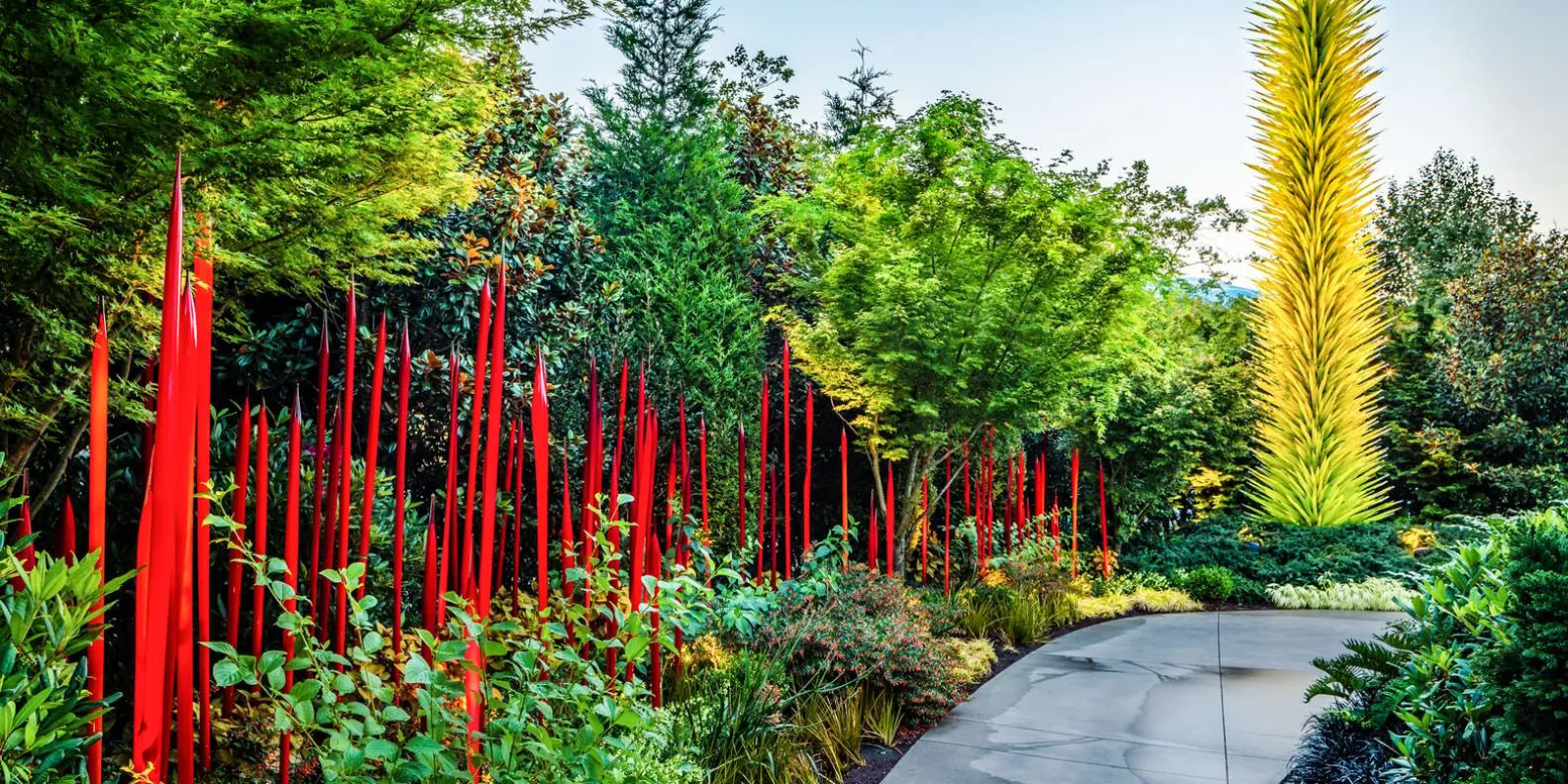 Scarlet glass reeds and a yellow spire rising from the evergreen planting of the outdoor garden